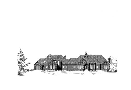 Large Image