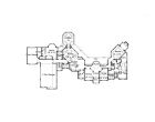 Elevation