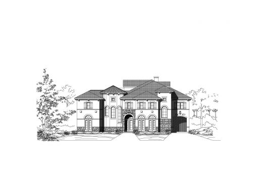 Large Image