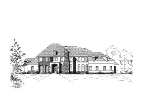 Large Image