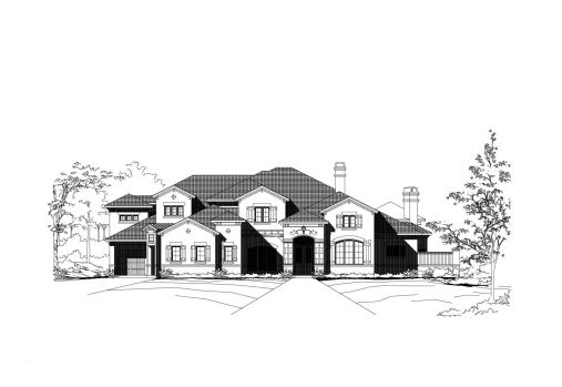 Large Image