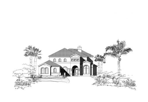 Large Image