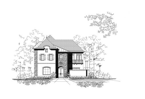 Large Image