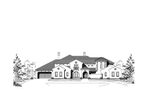 Large Image