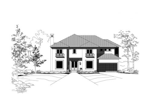Large Image
