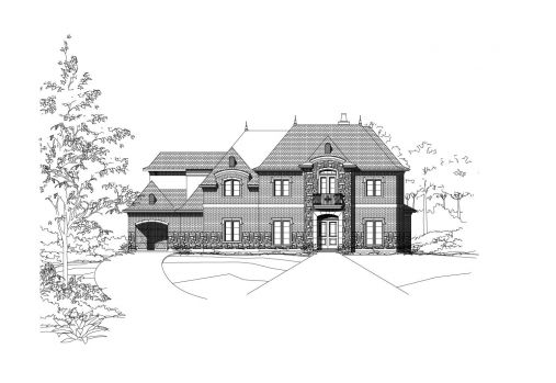 Large Image
