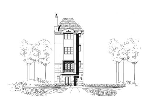 Large Image