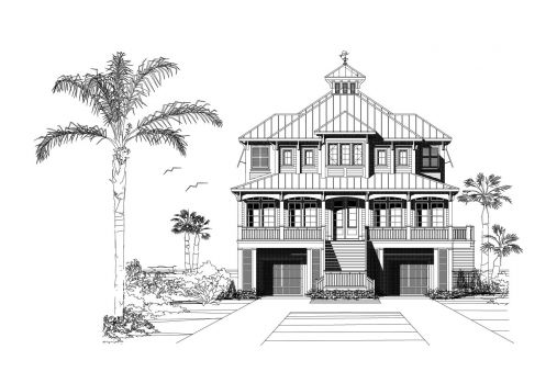 Large Image