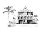 Elevation