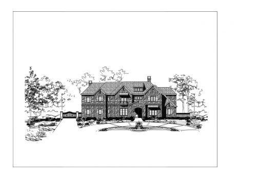 Large Image