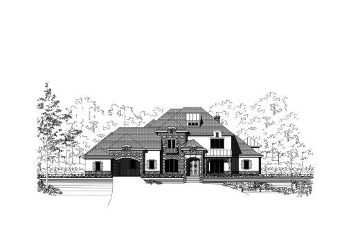 Large Image