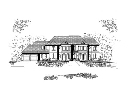 Large Image