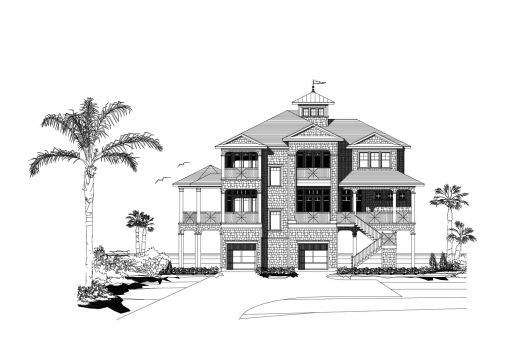 Large Image