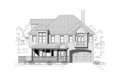 Large Image