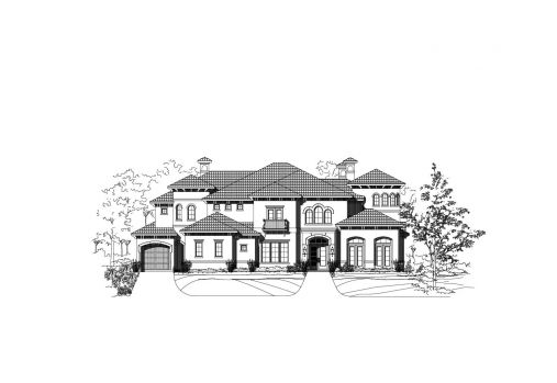 Large Image