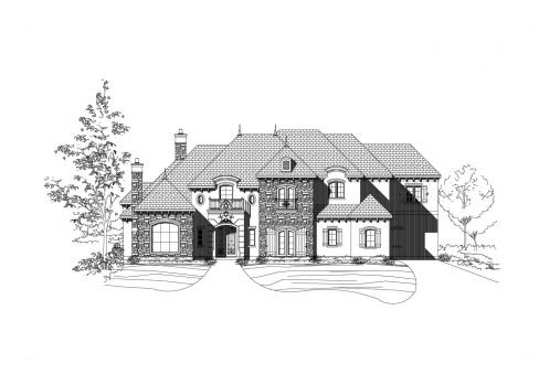 Large Image