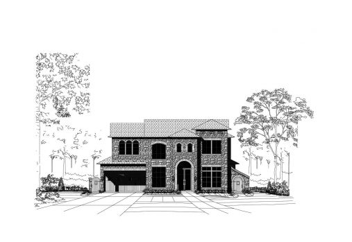 Large Image