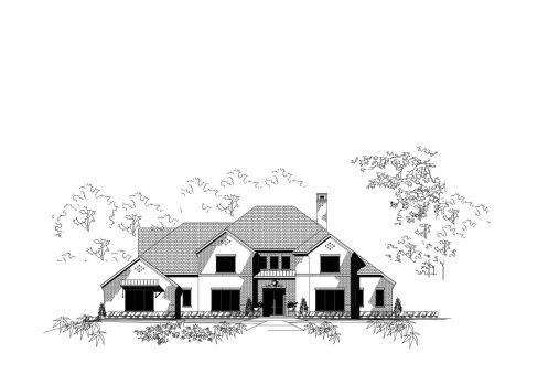 Large Image