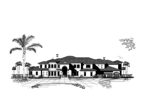 Large Image