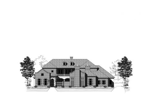 Large Image
