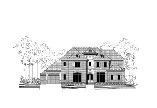Large Image