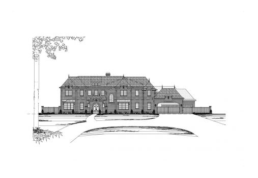 Large Image