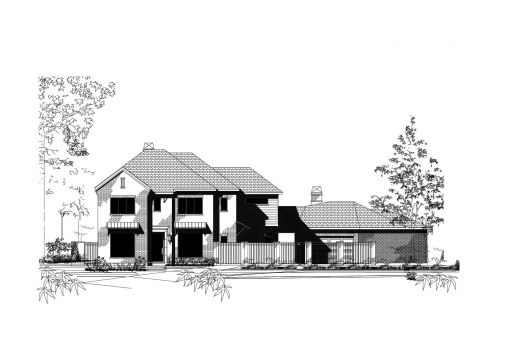 Large Image