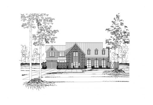 Large Image