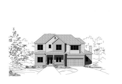 Large Image