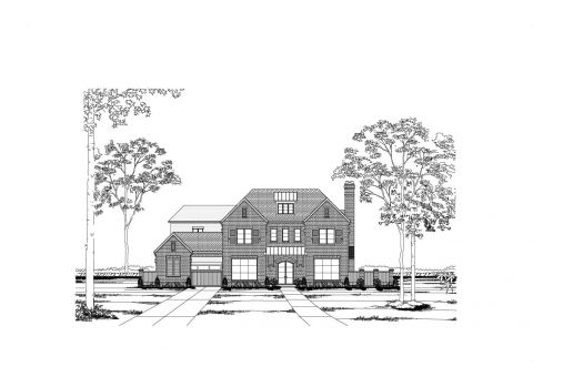Large Image
