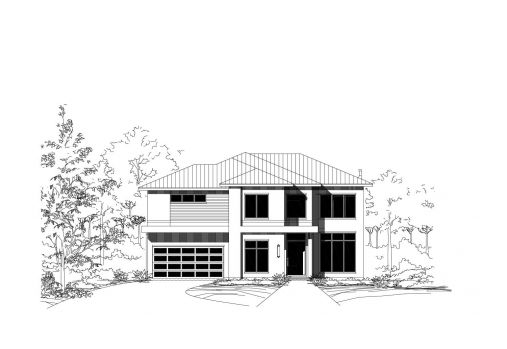 Large Image