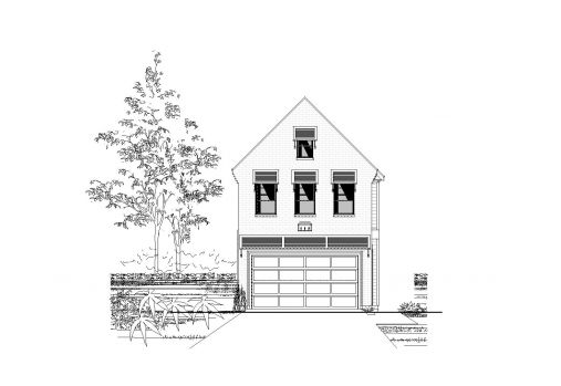 Large Image