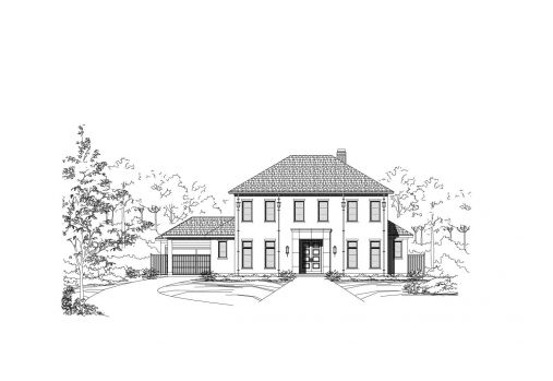 Large Image